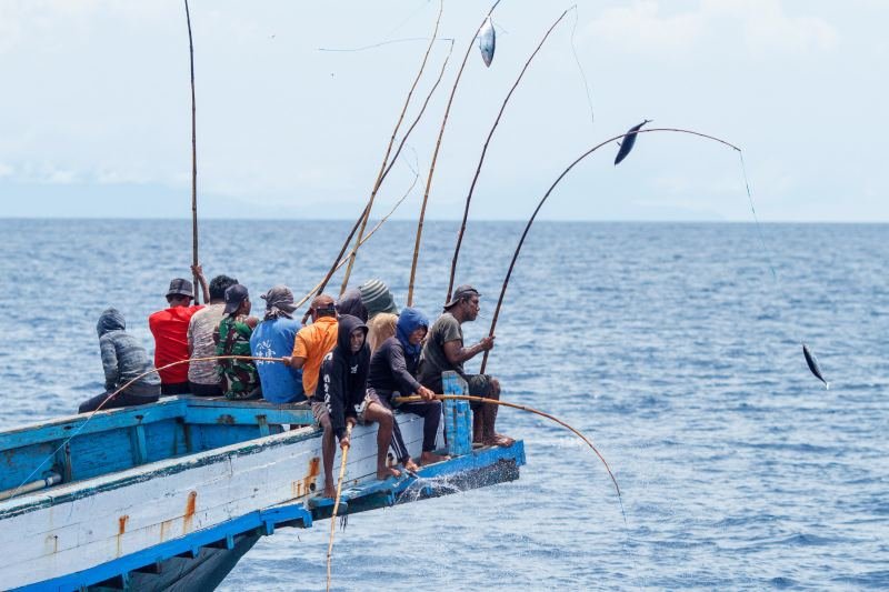 pole and line fishtales